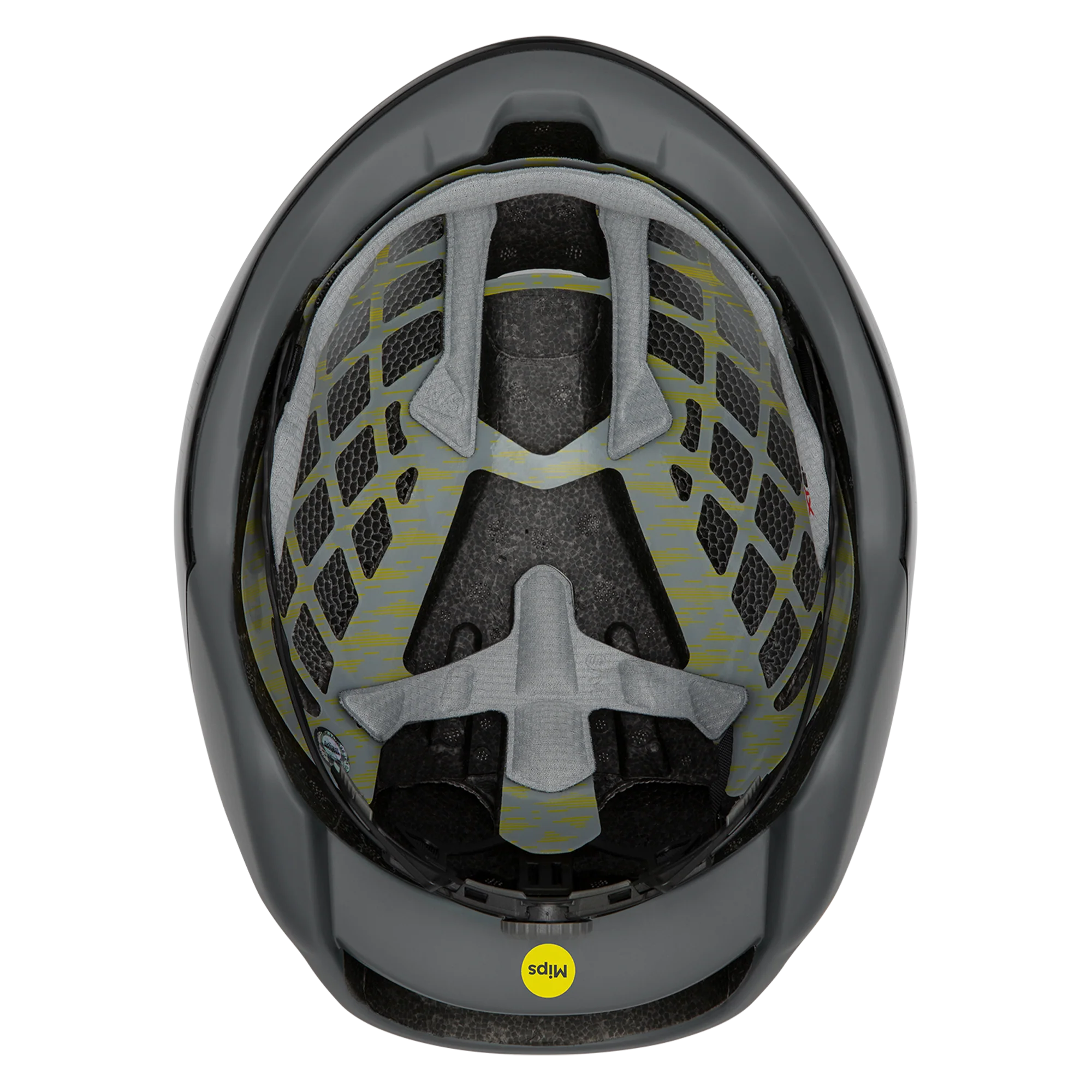 Ignite Mips® - Image 4